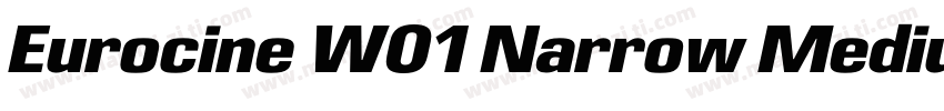 Eurocine W01 Narrow Medium字体转换